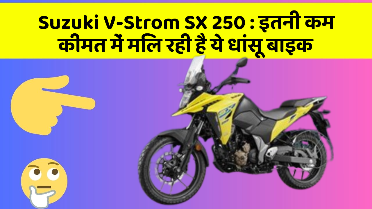 Suzuki V-Strom SX 250 : इतनी कम कीमत में मिल रही है ये धांसू बाइक